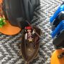 Playmobil Pirate Island Image 8
