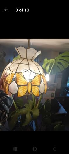 Mother of Pearl butterfly Light