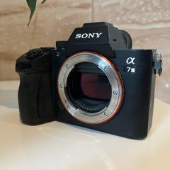 sony Alpha a7iii and 70-300