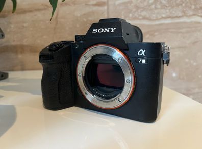 sony Alpha a7iii and 70-300