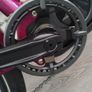 Brand New Unused Ridgeback Advance 2 E Bike Factory Built. Will P/x For A Fresh Kukirin G3 PRO Or A Kukirin G4. Image 3