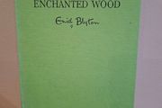 The Enchanted Wood