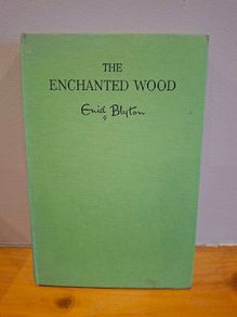The Enchanted Wood