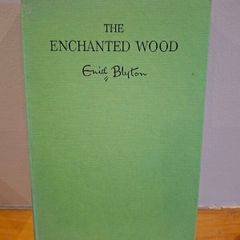 The Enchanted Wood