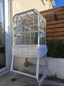 Large bird cage