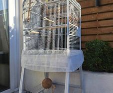 Large bird cage