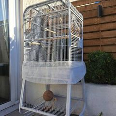 Large bird cage