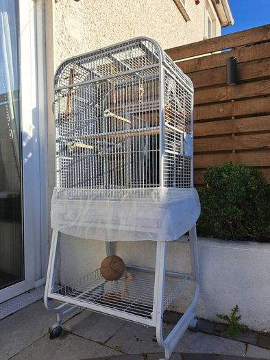 Large bird cage