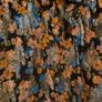Women's Patterned Top/Blouse size 14 Oasis Image 2