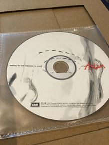 Aslan CD - Waiting for this madness to end
