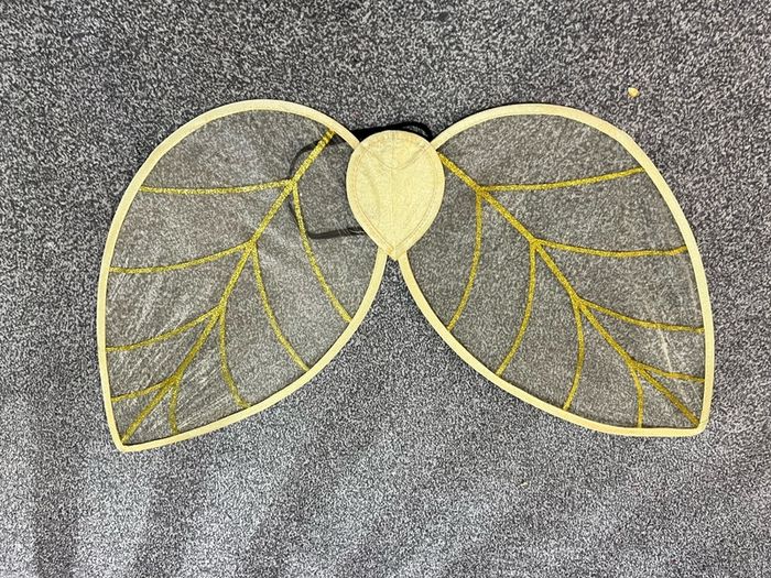 fairy wings