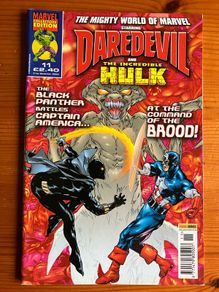 Comic: 'Daredevil And The Incredible Hulk' no.11 (31/12/2003)