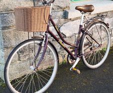 ladies bike dawes duchess