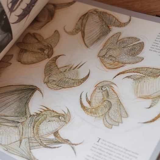 The Art of How to Train Your Dragon 2 Book