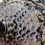XTR CS-M9101 12-speed Cassette 10-51 Image 4