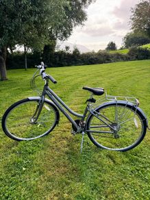 Ladies Bike
