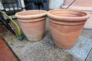 Terracotta pots