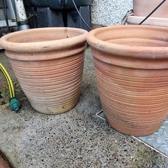 Terracotta pots