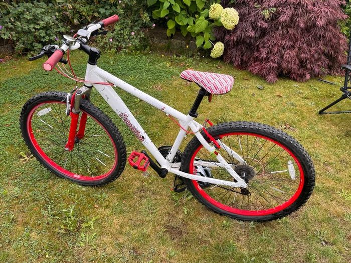 Scorpion Cult Bike