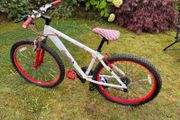 Scorpion Cult Bike