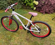 Scorpion Cult Bike