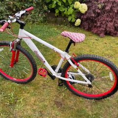 Scorpion Cult Bike