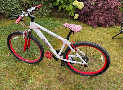 Scorpion Cult Bike