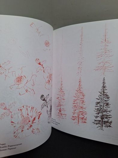 SALE! Set of 4 DRAW 50 drawing books: Dinosaurs, Flowers, Animals and Endangered Animals