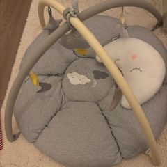 Baby Play Gym