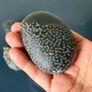 Natural coral fossil stones Image 3