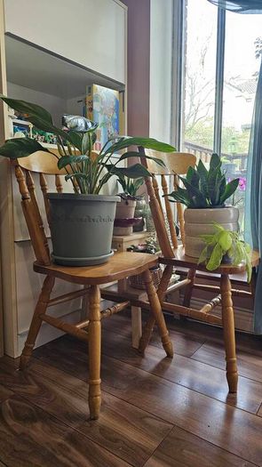 wooder chairs
