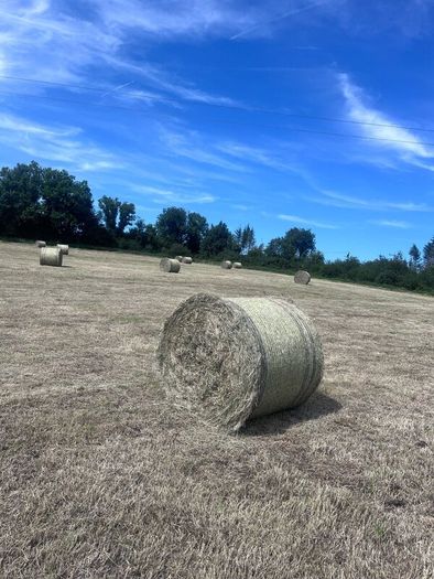 Bales of Rush hay bedding