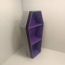 Beetlejuice Coffin Display Shelf Image 3