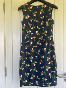Carolina Herrera Dress