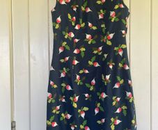 Carolina Herrera Dress
