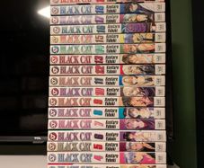 Black Cat manga 1-20