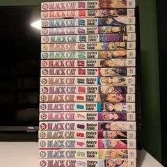 Black Cat manga 1-20