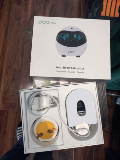 EBO Robot friend for cats.