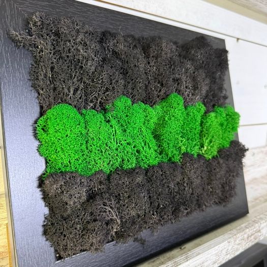 Frame 01 - 20x25cm natural moss