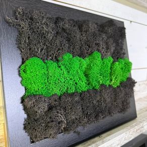 Frame 01 - 20x25cm natural moss