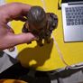 Chewbacca Star Wars PlayStation2 Ps2 Games Original Image 2