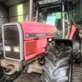 Massey Ferguson 3655 Image 3