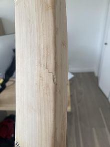 cricket bat