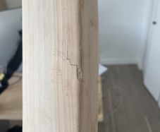 cricket bat