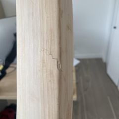 cricket bat