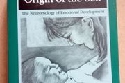 Affect Regulation/Origin of Self Book