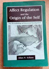 Affect Regulation/Origin of Self Book