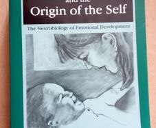 Affect Regulation/Origin of Self Book