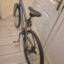 bike Image 5