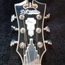 D'Angelico premier Brighton Image 5